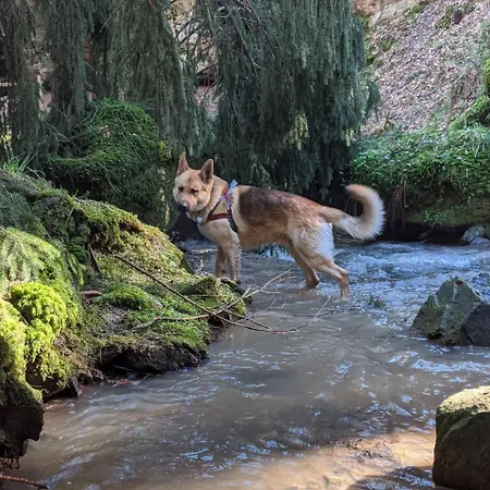 Appartement Martha Und Nikla Philippsheim